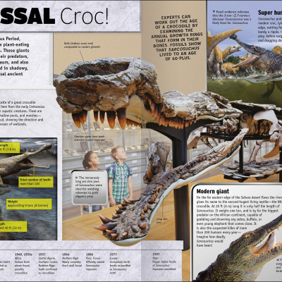 The Animal Book