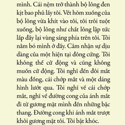 Nhiều Buổi Chiều Và Nhiều Buổi Tối