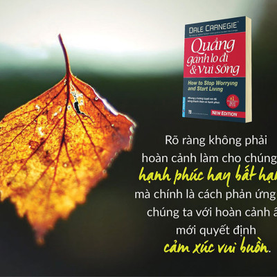 Quẳng Gánh Lo Đi Và Vui Sống (Tái Bản 2016)