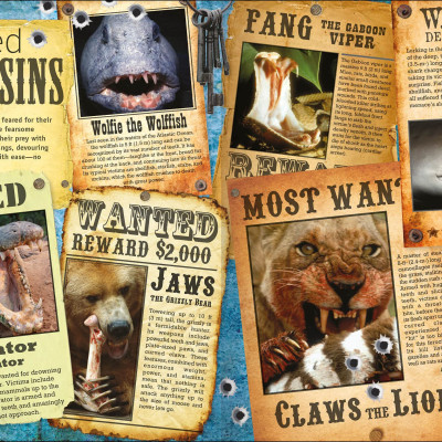 The Animal Book