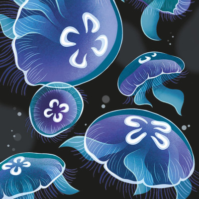 Aquarium Snap