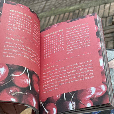 (Combo 2 tập - Phiên bản song ngữ Trung - Việt) 999 LÁ THƯ GỬI CHO CHÍNH MÌNH – Những lá thư ấn tượng nhất  - Miêu Công Tử – AZ Việt Nam 