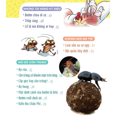 Làm Bạn Với Khoa Học - World Of Science - Những Bí Ẩn Về Côn Trùng - Adventures With Insects