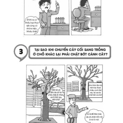 Bách Khoa Tri Thức Đầu Tiên Cho Trẻ Em - Câu Hỏi Và Trả Lời - Bìa Cứng