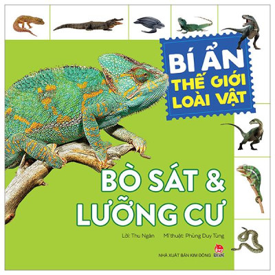 Bí Ẩn Thế Giới Loài Vật - Bò Sát Và Lưỡng Cư (Tái Bản 2024)