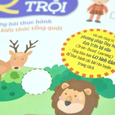 Tăng cường não bộ để đạt IQ vượt trội - Combo 4 cuốn - Đinh Tị Books