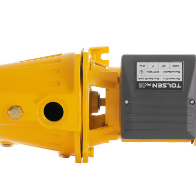 Máy bơm nước ly tâm Tolsen 79973 750W (1hp)- Hàng chính hãng