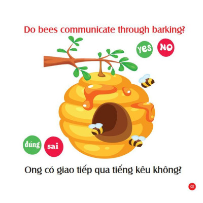 Sách - Mẹ Hỏi Bé Trả Lời - Tập 2 - Song Ngữ Anh Việt - Rèn Luyện Trí Thông Minh, Phát Triển Ngôn Ngữ Cho Bé - Việt Thư