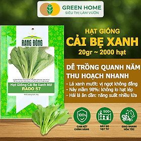 Hạt Giống Cải Bẹ Xanh Mỡ Greenhome, Gói 20g~2000 hạt, Dễ Trồng Quanh Năm, Nảy Mầm Cao, Thu Hoạch Nhanh, Năng Suất Cao R04