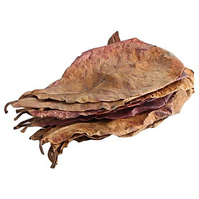 Lá bàng khô cho cá 200g