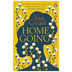 Homegoing