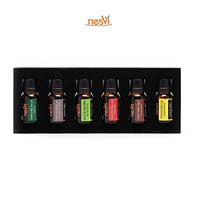 Full set hộp 6x10ml Tinh dầu tự nhiên Nesvi nhiều mùi hương nguyên chất làm quà tặng