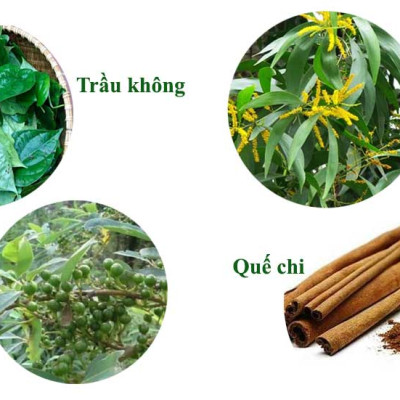 Dầu Lợi An Bôi Ho Cho Bé - Hết Đờm - Sổ mũi - Khò Khè - Tăng Đề Kháng