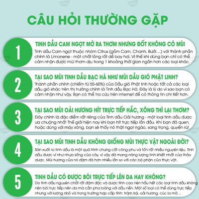 Tinh Dầu Tràm Trà Kobi Nguyên Chất (10ml)