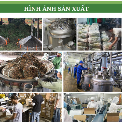 Tinh dầu Bạc Hà 100ml nguyên chất từ thiên nhiên, Xuất khẩu thị trường Mỹ, Thơm Phòng, Khử Mùi, Kháng Khuẩn, Đuổi Muỗi, Đuổi Chuột - KingOil