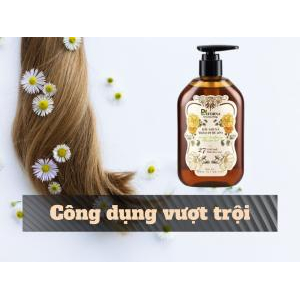 3. Công dụng vượt trội